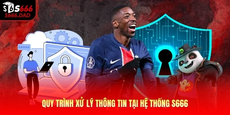 Quy trình xử lý thông tin tại hệ thống S666